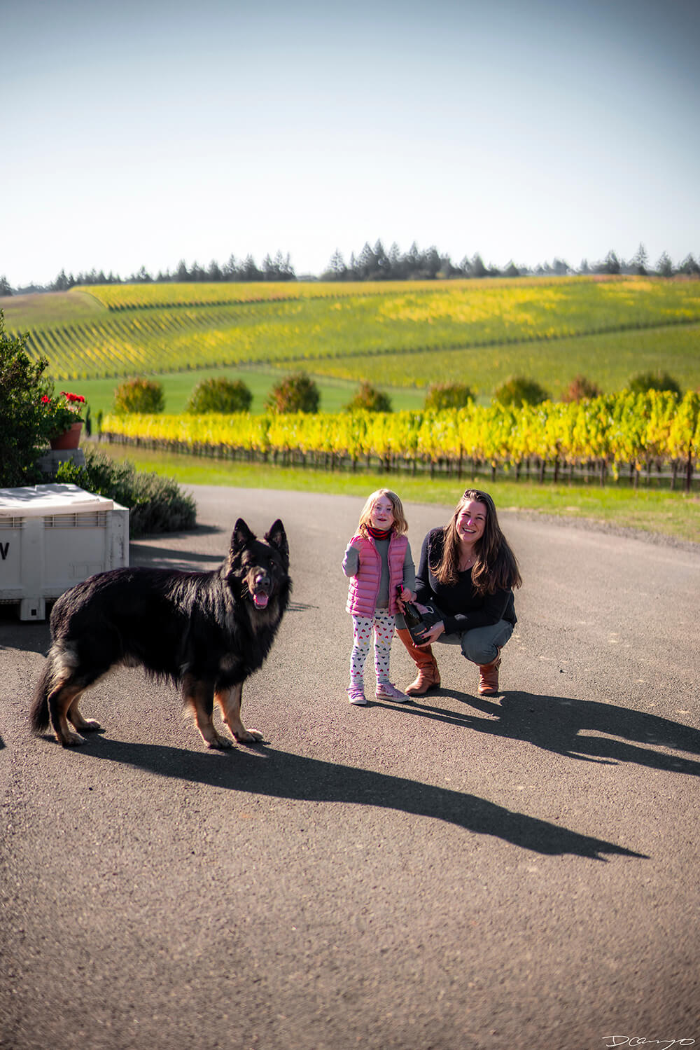 Photos with Communique Wines in McMinville, Oregon, in the Fall of 2020.